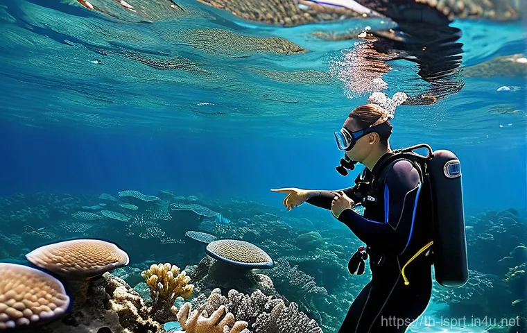 레저스포츠지도자와 환경 문제 해결을 위한 기여 - **Prompt:** A dedicated Thai female outdoor activity instructor, wearing a modest rash guard and boa... 레저스포츠지도자와 환경 문제 해결을 위한 기여 - **Prompt:** A dedicated Thai female outdoor activity instructor, wearing a modest rash guard and boa...